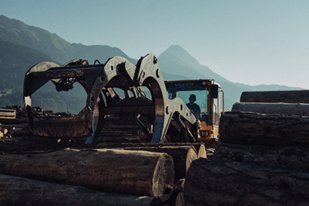 Rundholzvermittlung - Holzqualität vom Holzhandel Seiwald Plozner.